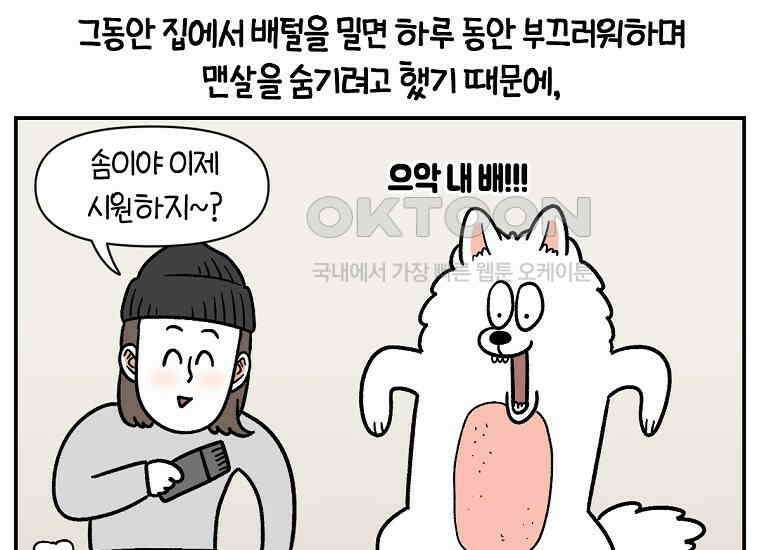 극한견주 시즌2 2화 면봉 미용 후기 12
