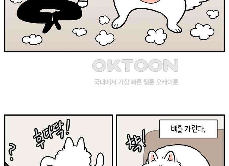 극한견주 시즌2 2화 면봉 미용 후기 13