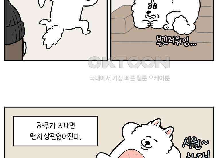 극한견주 시즌2 2화 면봉 미용 후기 14
