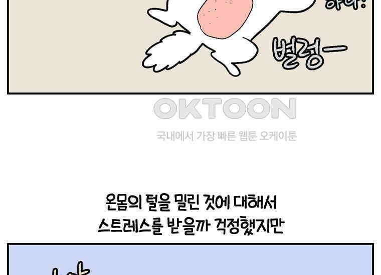 극한견주 시즌2 2화 면봉 미용 후기 15