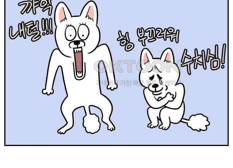 극한견주 시즌2 2화 면봉 미용 후기 16