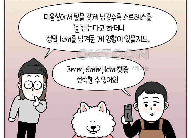 극한견주 시즌2 2화 면봉 미용 후기 19