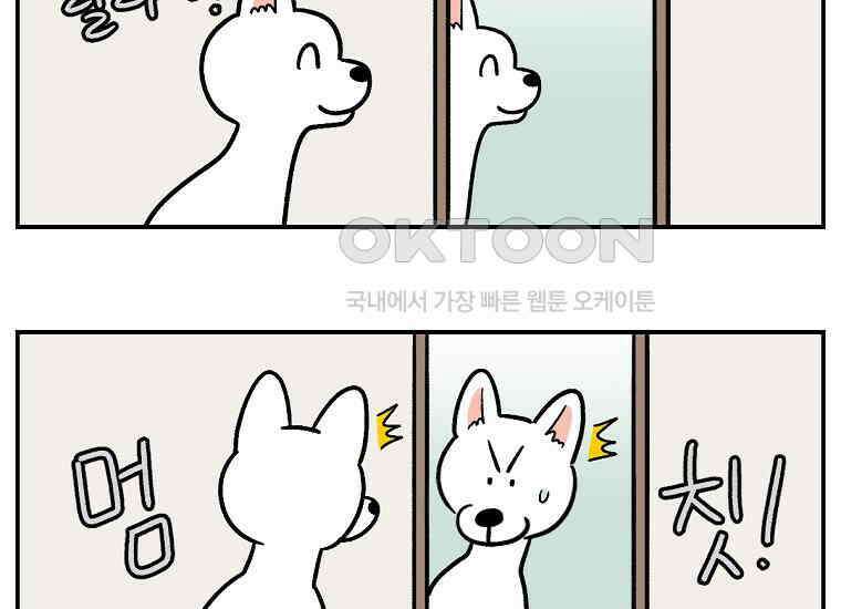 극한견주 시즌2 2화 면봉 미용 후기 21