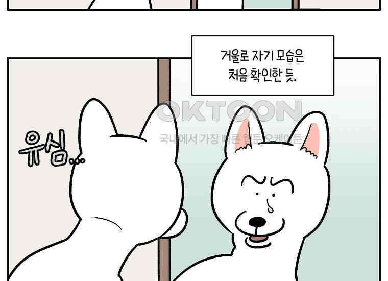 극한견주 시즌2 2화 면봉 미용 후기 22