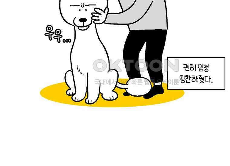 극한견주 시즌2 2화 면봉 미용 후기 24