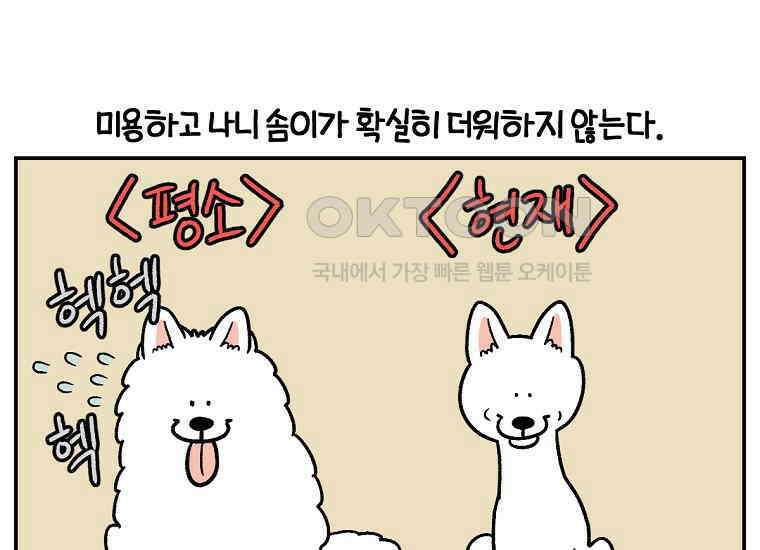 극한견주 시즌2 2화 면봉 미용 후기 25