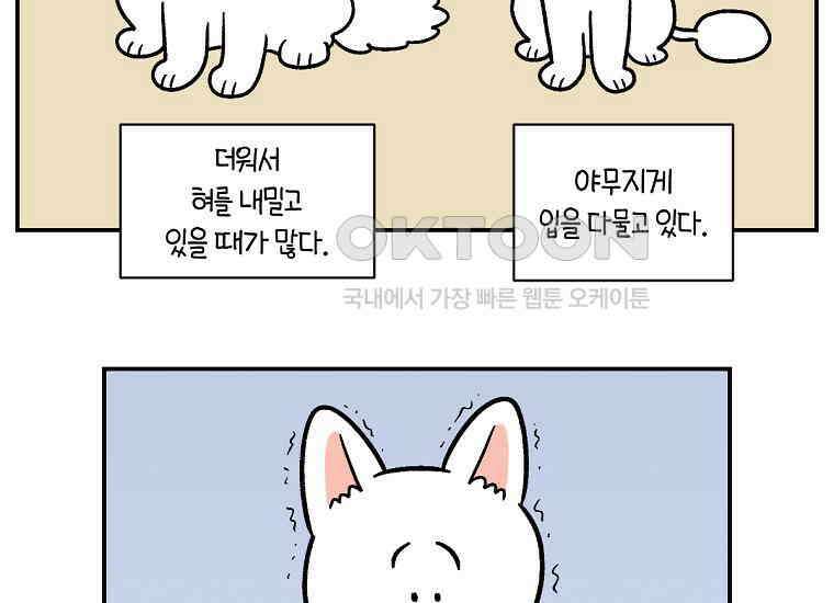 극한견주 시즌2 2화 면봉 미용 후기 26