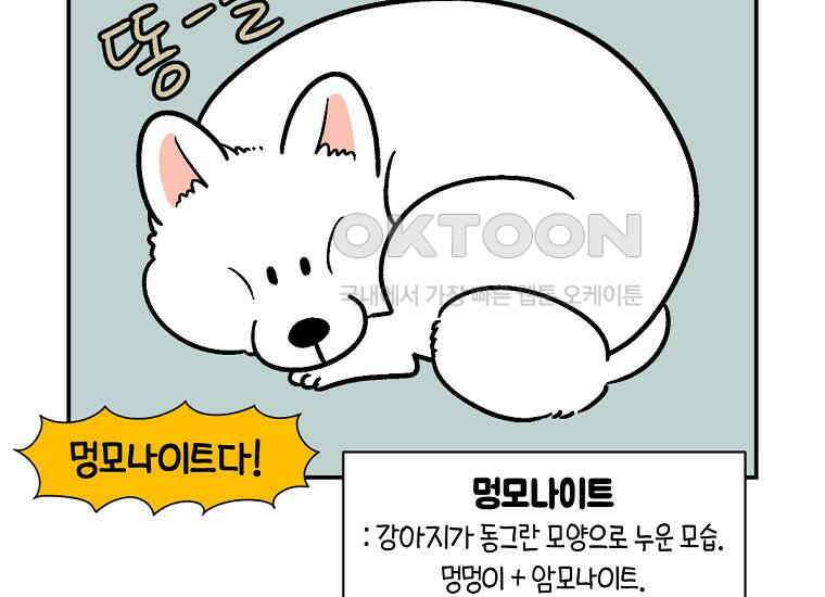 극한견주 시즌2 2화 면봉 미용 후기 28