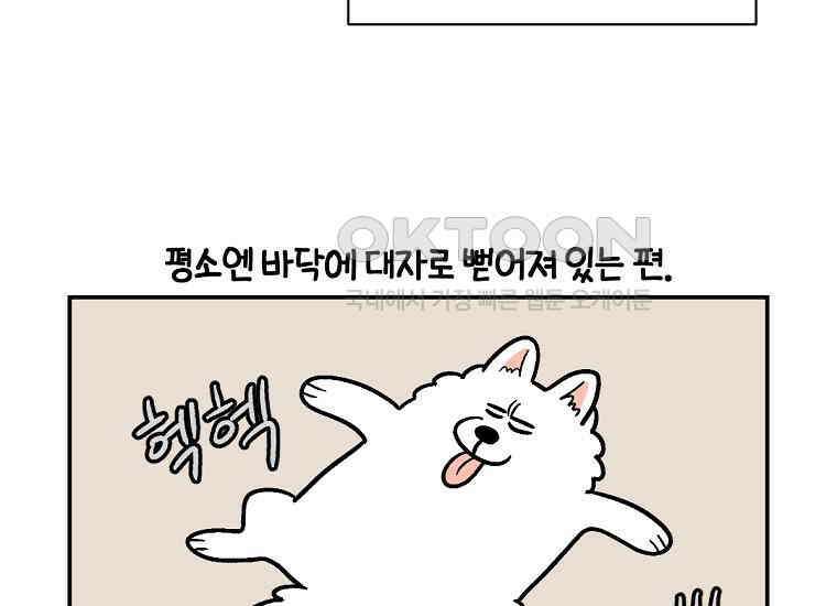 극한견주 시즌2 2화 면봉 미용 후기 29