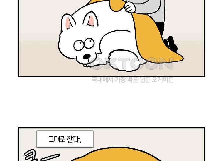 극한견주 시즌2 2화 면봉 미용 후기 31