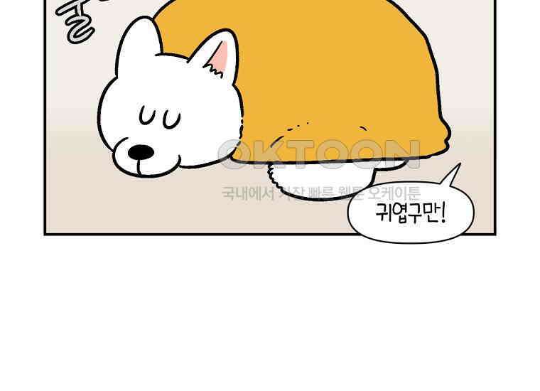 극한견주 시즌2 2화 면봉 미용 후기 32