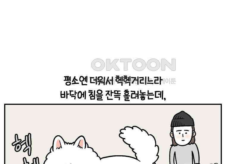 극한견주 시즌2 2화 면봉 미용 후기 33