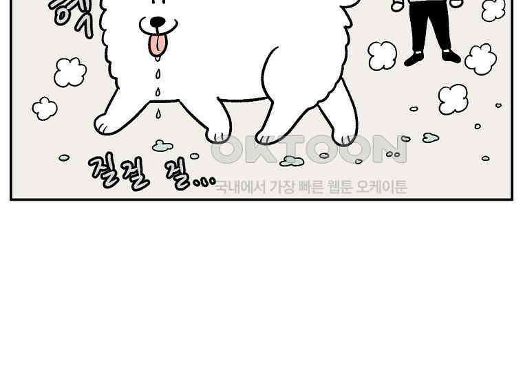 극한견주 시즌2 2화 면봉 미용 후기 34