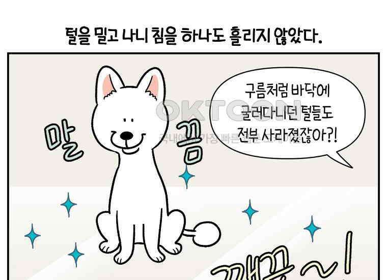 극한견주 시즌2 2화 면봉 미용 후기 35