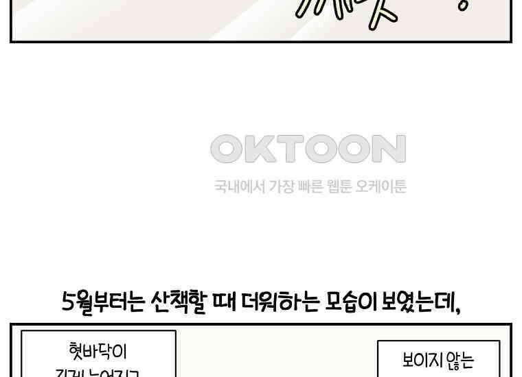 극한견주 시즌2 2화 면봉 미용 후기 36