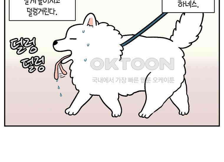 극한견주 시즌2 2화 면봉 미용 후기 37
