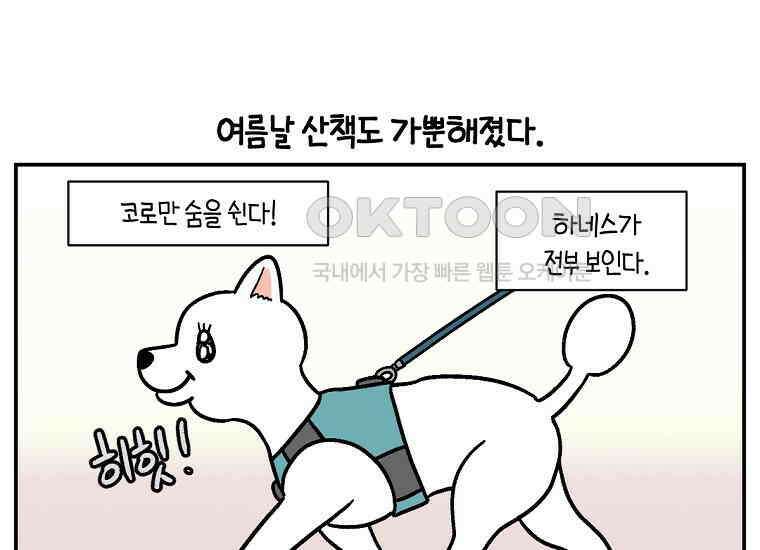 극한견주 시즌2 2화 면봉 미용 후기 38