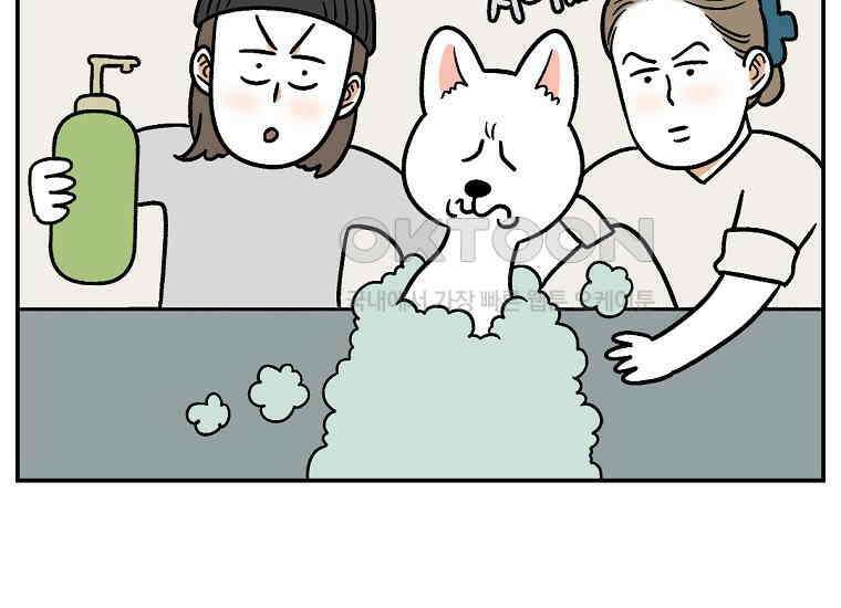 극한견주 시즌2 2화 면봉 미용 후기 42