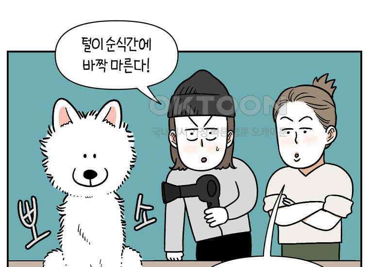 극한견주 시즌2 2화 면봉 미용 후기 43