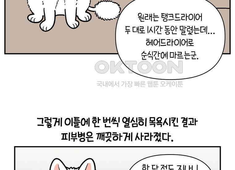 극한견주 시즌2 2화 면봉 미용 후기 44