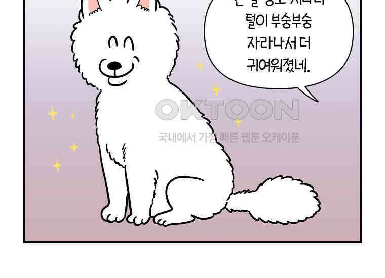 극한견주 시즌2 2화 면봉 미용 후기 45