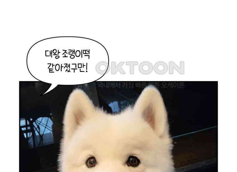 극한견주 시즌2 2화 면봉 미용 후기 46