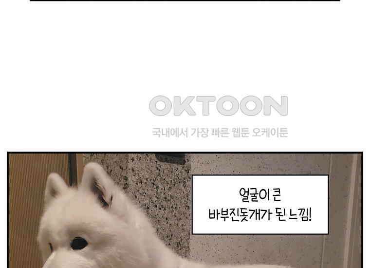 극한견주 시즌2 2화 면봉 미용 후기 48