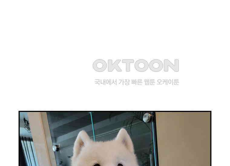 극한견주 시즌2 2화 면봉 미용 후기 50
