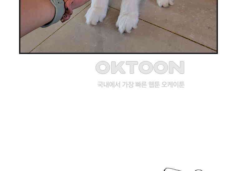 극한견주 시즌2 2화 면봉 미용 후기 52