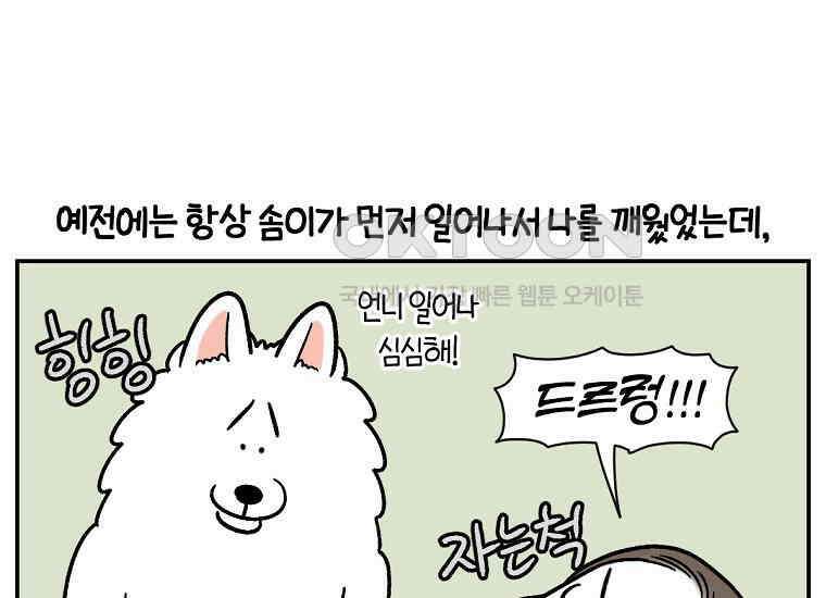 극한견주 시즌2 9화 모닝 루틴 7