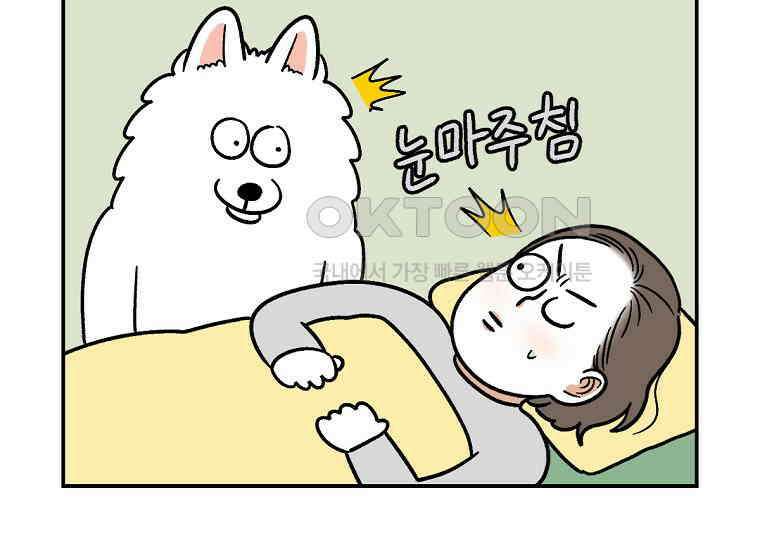 극한견주 시즌2 9화 모닝 루틴 9