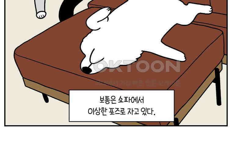 극한견주 시즌2 9화 모닝 루틴 14