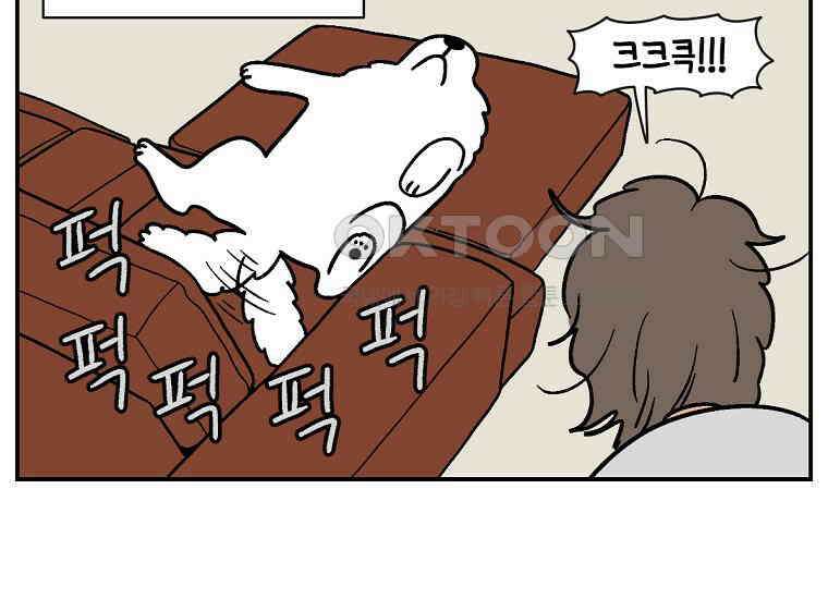 극한견주 시즌2 9화 모닝 루틴 17