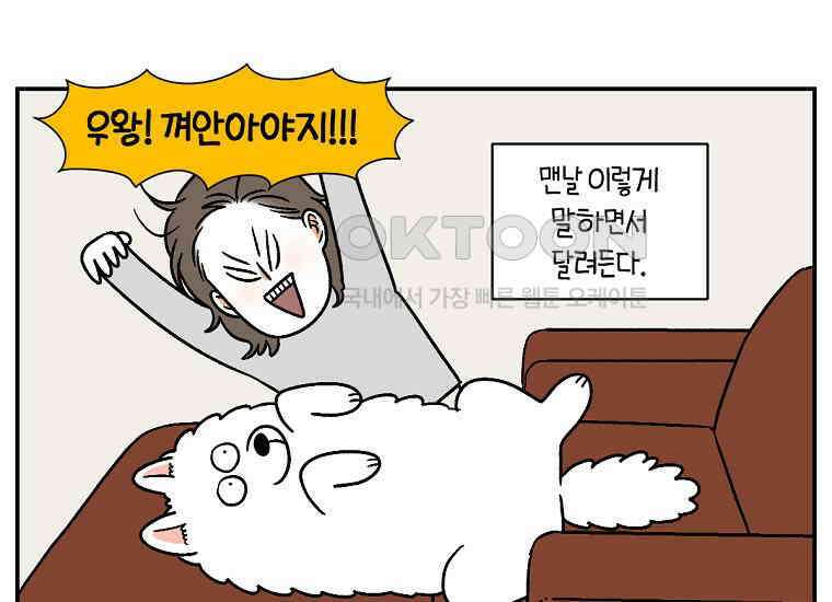 극한견주 시즌2 9화 모닝 루틴 18