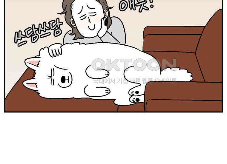극한견주 시즌2 9화 모닝 루틴 24