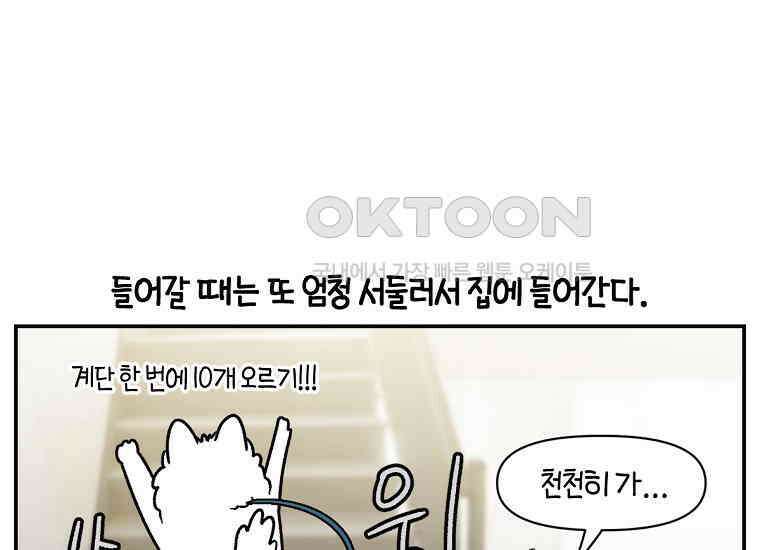 극한견주 시즌2 9화 모닝 루틴 39