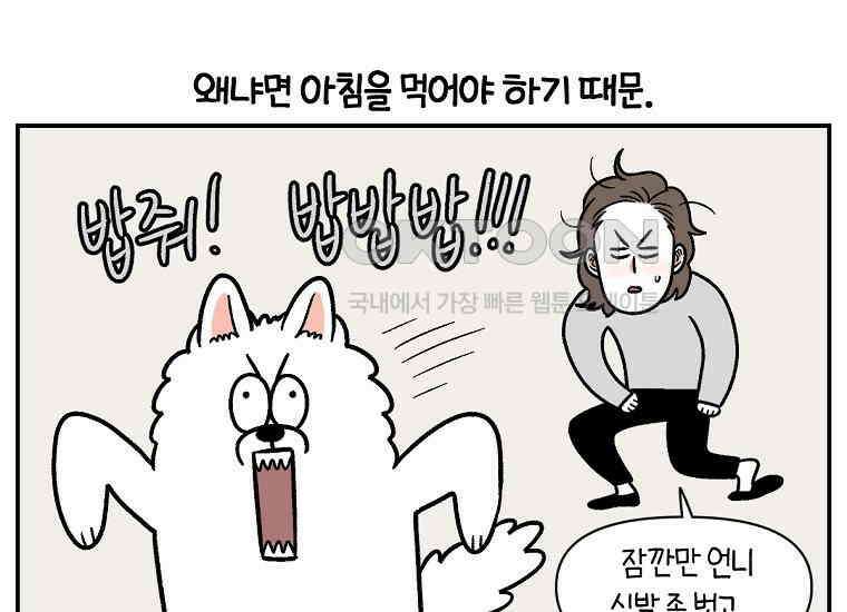 극한견주 시즌2 9화 모닝 루틴 41