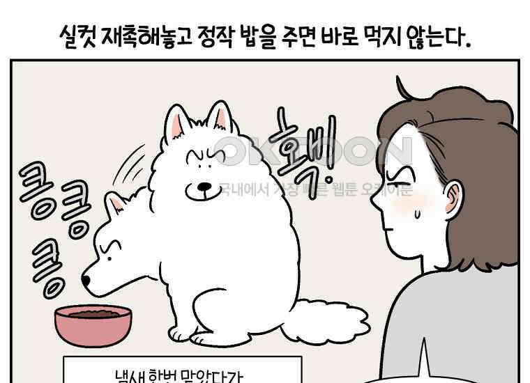 극한견주 시즌2 9화 모닝 루틴 46