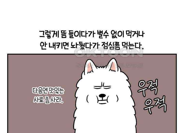 극한견주 시즌2 9화 모닝 루틴 49