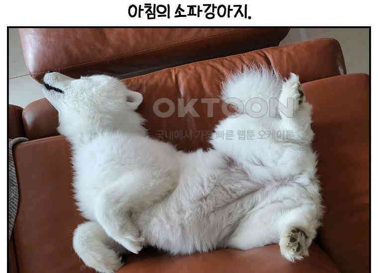 극한견주 시즌2 9화 모닝 루틴 54