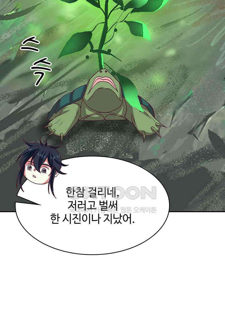 혼돈의 연단사 331 13