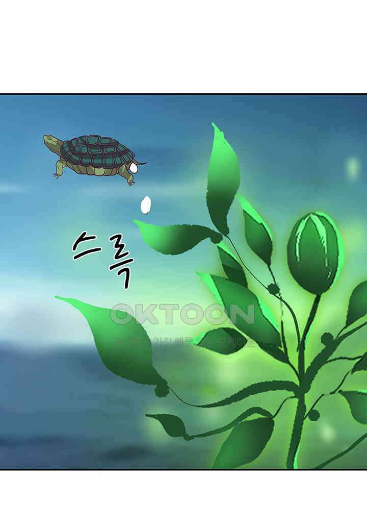 혼돈의 연단사 331 31