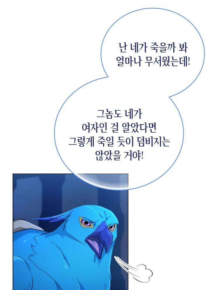 바다새와 늑대 8화 4