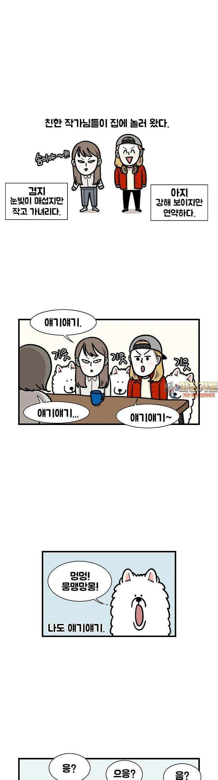 극한견주 49화 관심 1