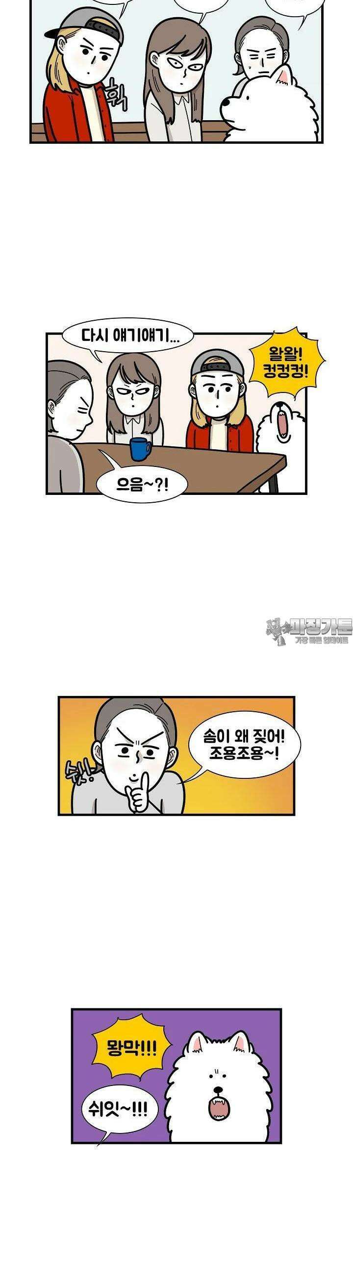 극한견주 49화 관심 2