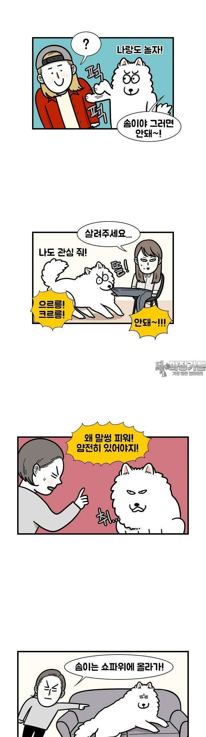 극한견주 49화 관심 4