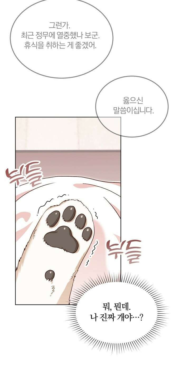황제의 멍멍이 1화 37