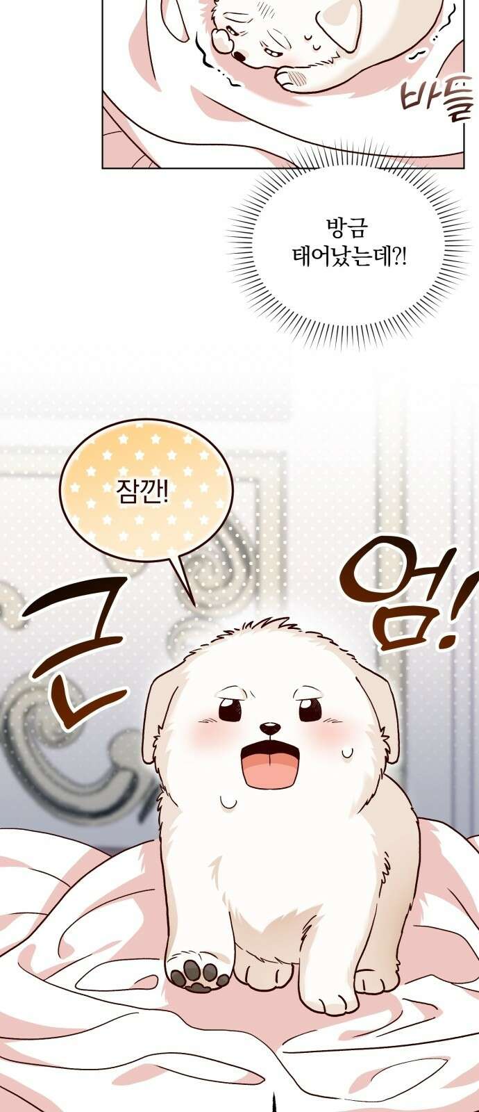 황제의 멍멍이 1화 49