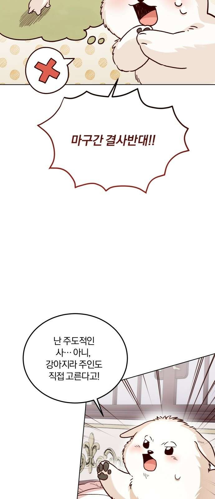 황제의 멍멍이 1화 59