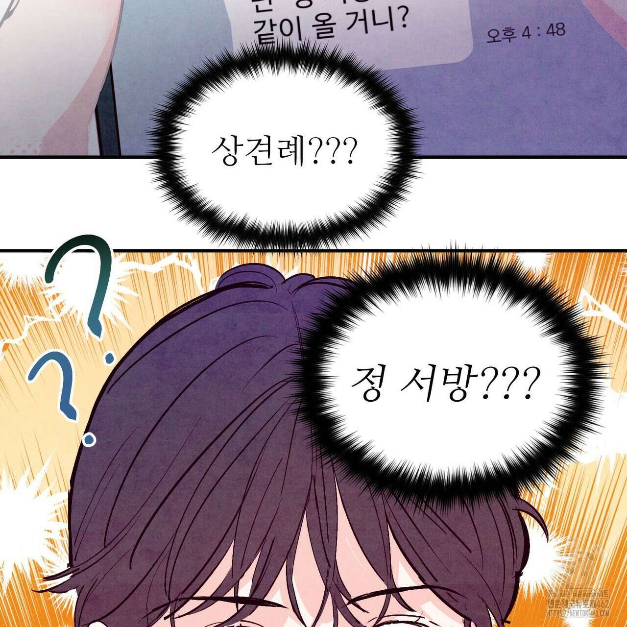 펀치 드렁크 러브 70화 81